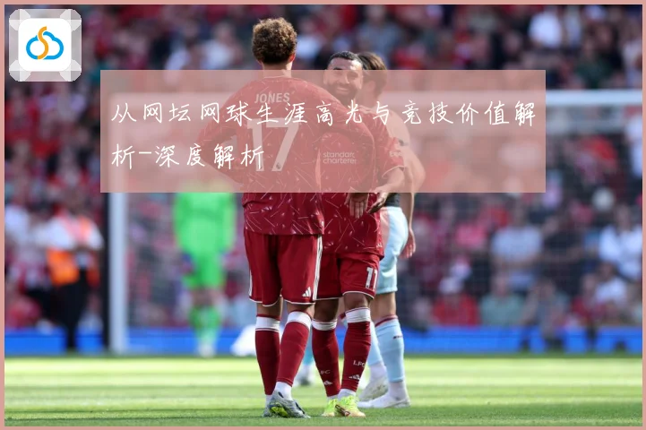 从网坛网球生涯高光与竞技价值解析-深度解析